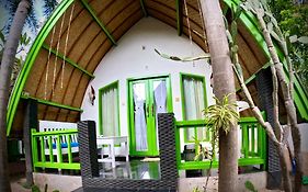 Kaktus Bungalow 1